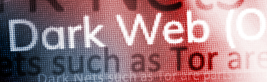 Fraud on the Dark Web