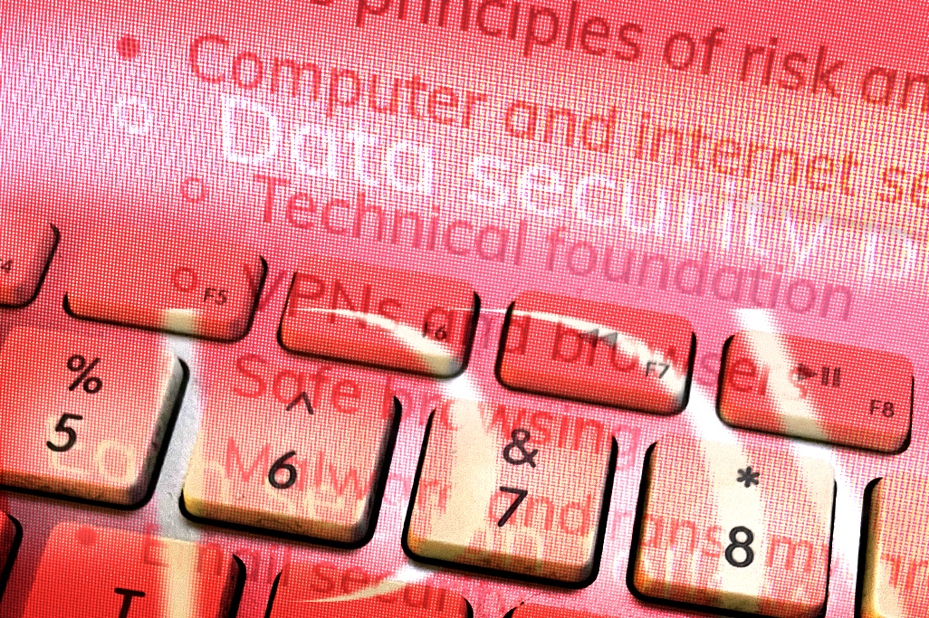 Digital Safety and Security (DS&S) Digital Safety and Security (DS&S) image